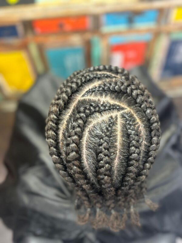 coiffure afro tresses nattes collées barrel twist